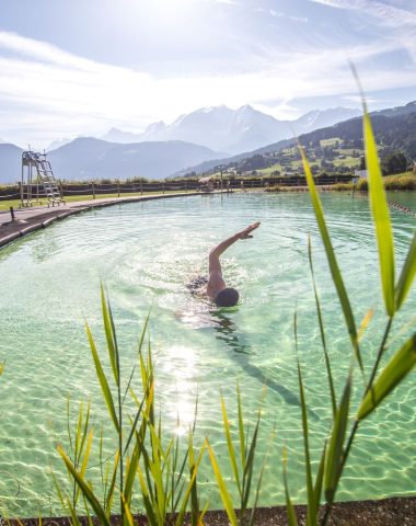 View of the basin of the biotope water body of Combloux swimmer