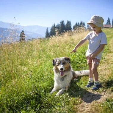 Combloux avec son chien