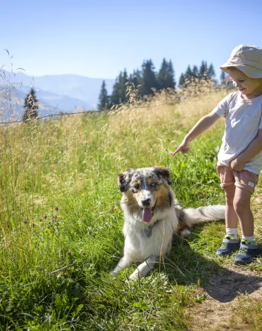 Combloux avec son chien