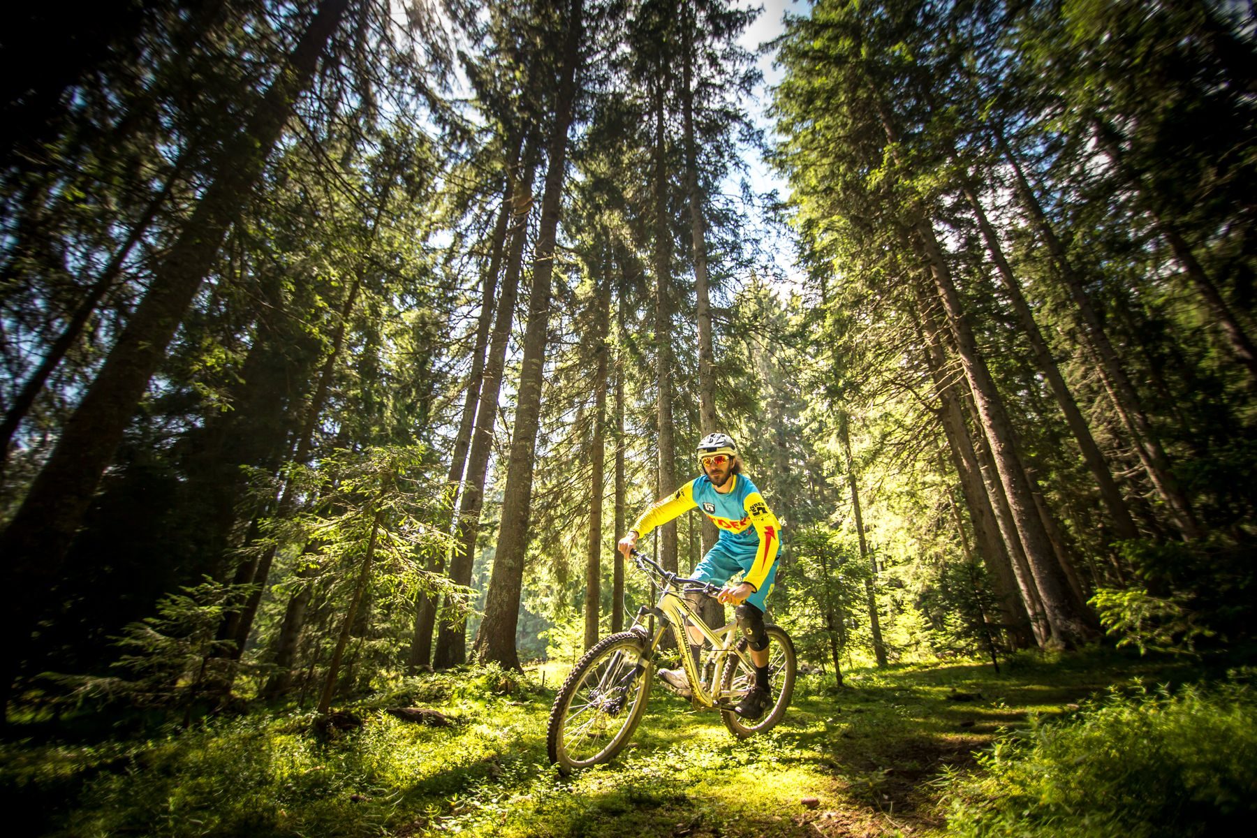 Descenso en bicicleta de montaña por el bosque de Combloux