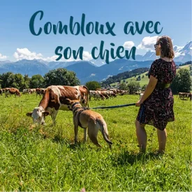 Guide Combloux avec son chien