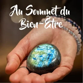 Summit of Well-Being Program