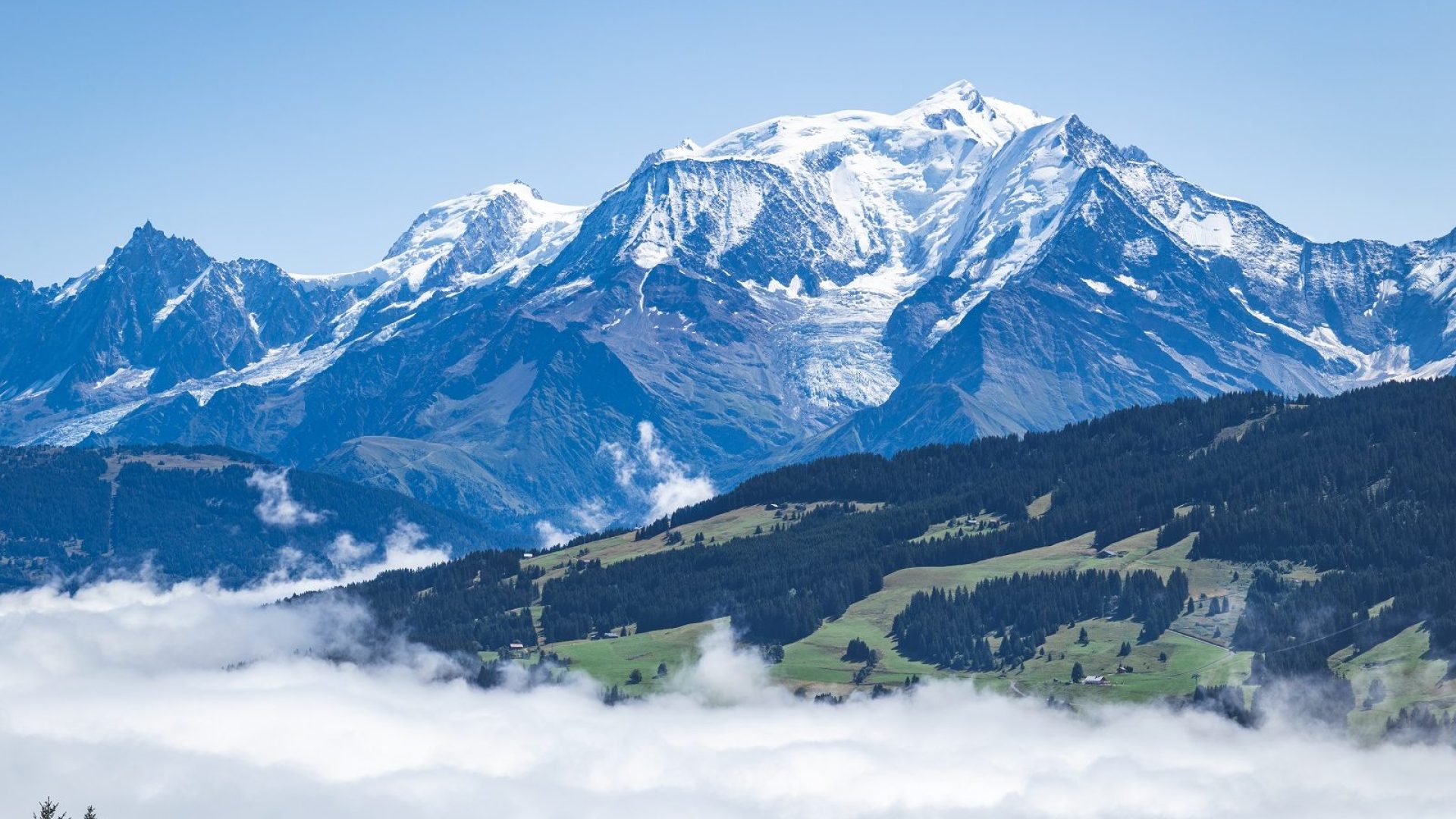 Mont-Blanc in summer with sea of ​​clouds from Combloux