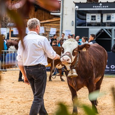 23-04-2024 – 3ª edición del Salón Agrícola del Pays du Mont-Blanc