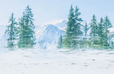 “À Fleur d’Eau” : Voyage artistique au cœur des reflets avec Giandra de Castro