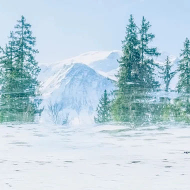 “À Fleur d’Eau” : Voyage artistique au cœur des reflets avec Giandra de Castro