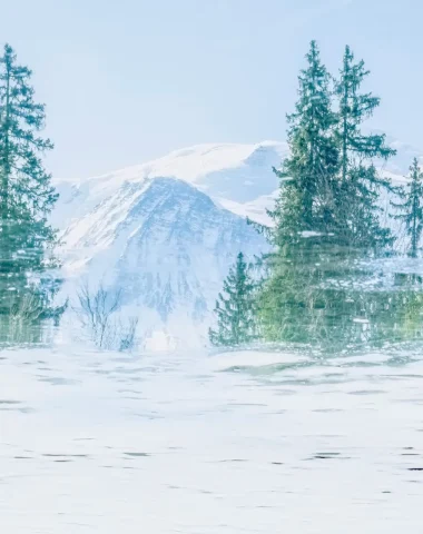 “À Fleur d’Eau” : Voyage artistique au cœur des reflets avec Giandra de Castro