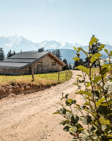 L’été à l’alpage