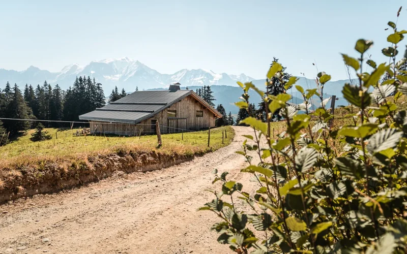 L’été à l’alpage