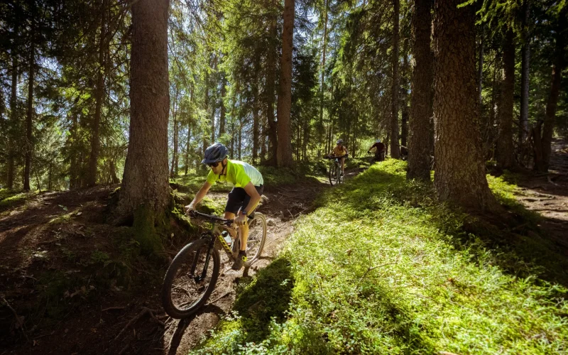 Les accompagnateurs VTT