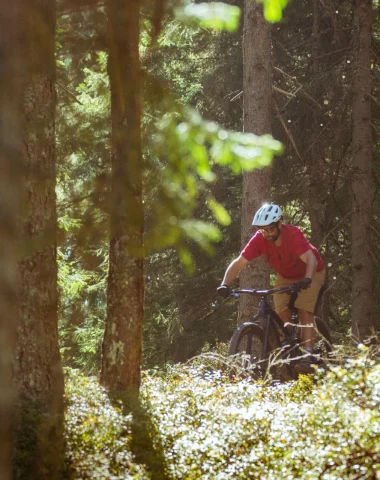 Location VTT