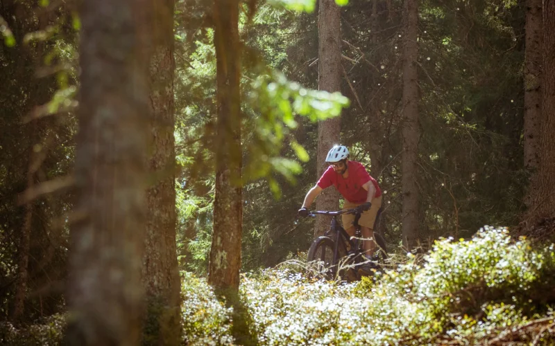 Location VTT