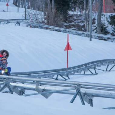 Luge 4S