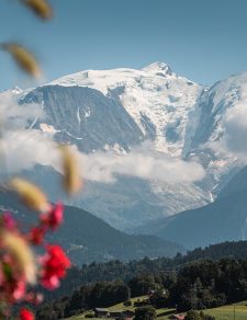 Mont-Blanc y flores de Combloux