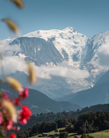 Mont-Blanc y flores de Combloux