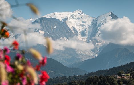 Mont-Blanc y flores de Combloux