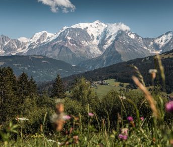 Mont-Blanc avec champ fleuri à Combloux