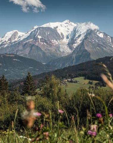 Mont-Blanc avec champ fleuri à Combloux
