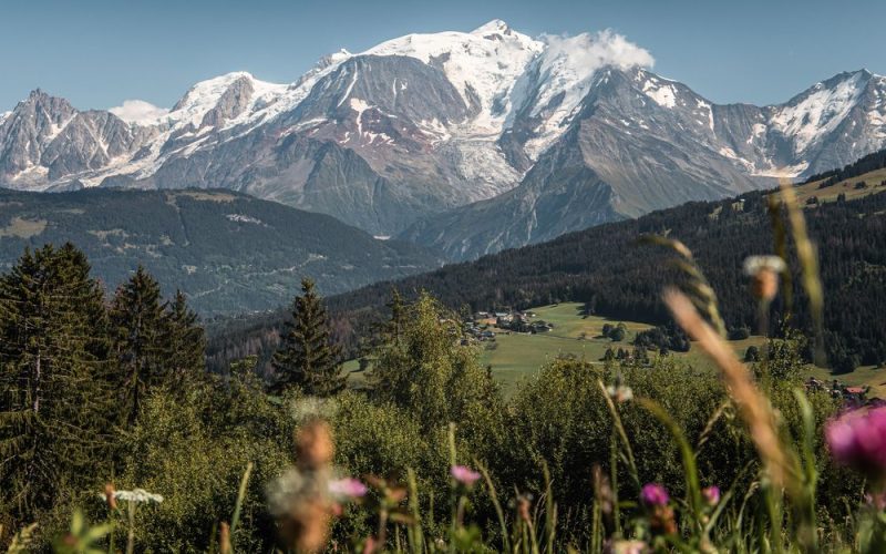 Mont-Blanc avec champ fleuri à Combloux