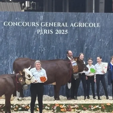 26-02-2025 – Rossignol, vache de Combloux, primée au Concours Général Agricole
