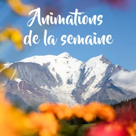 Actividades semanales - verano