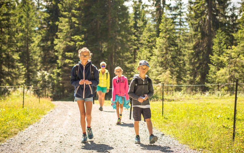 Enfants sur chemin