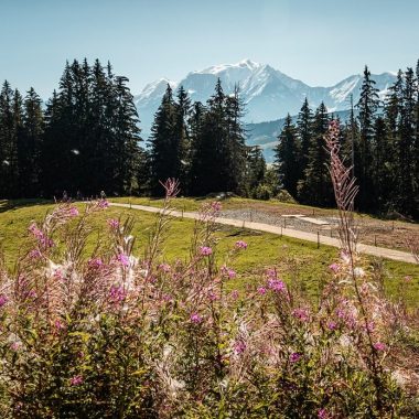 vue Mont-Blanc alpage Beauregard