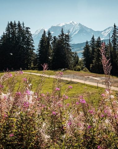 view Mont-Blanc Beauregard mountain pasture