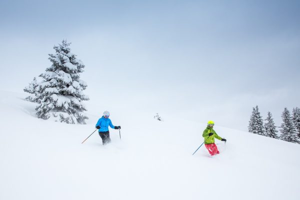 esquí en polvo