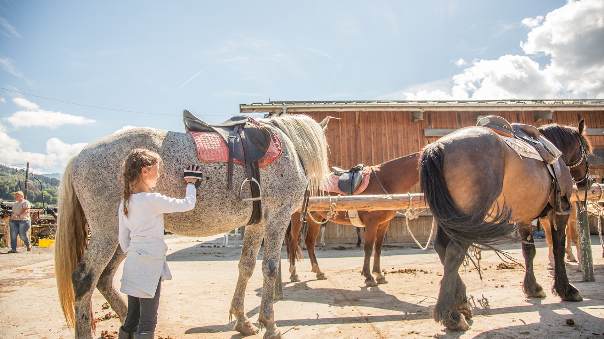 Combloux equestrian center